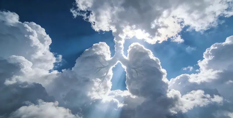 漳州肺癌靶向39基因检测及PDL122C3表达检测套餐（组织）图片1