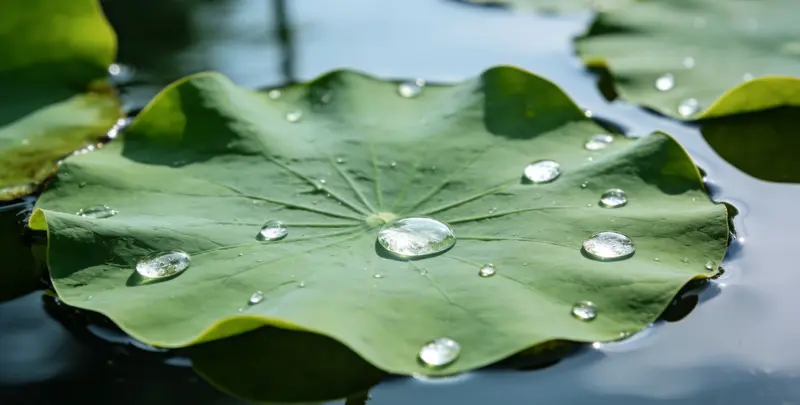 漳州乳腺癌21基因mRNA表达分析图片1