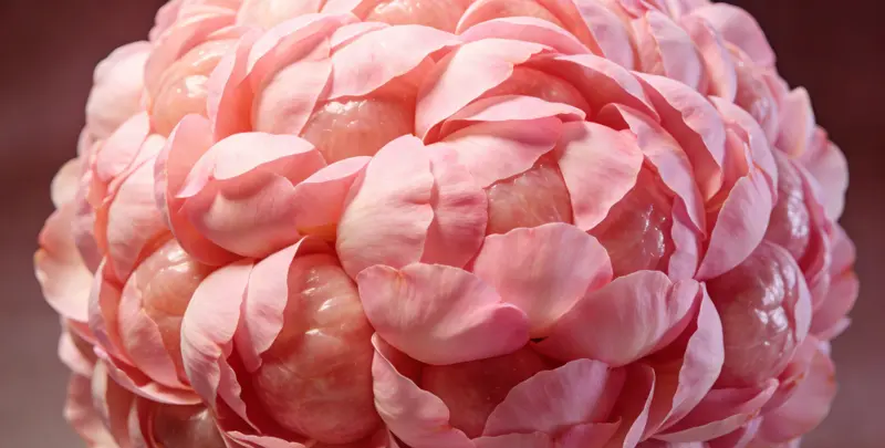 漳州BRCA1/2乳腺癌卵巢癌基因检测图片1